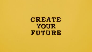 ankadrochik s future success potential