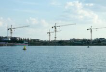 catalyst for industry growth