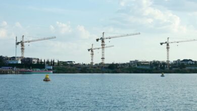 catalyst for industry growth