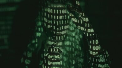 important numeric information revealed