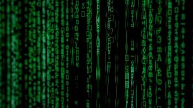 key findings for codes