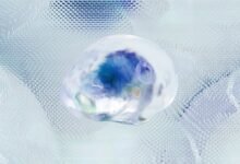 advanced commercial data analysis