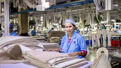 industry insights compilation report