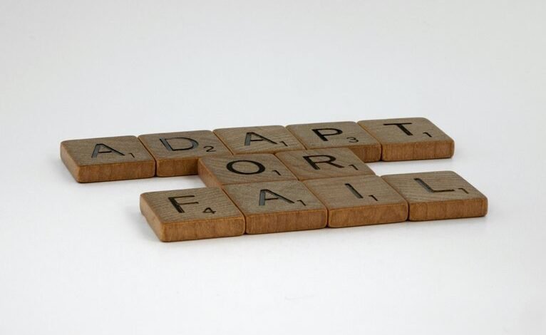 adaptive strategies concepts overview