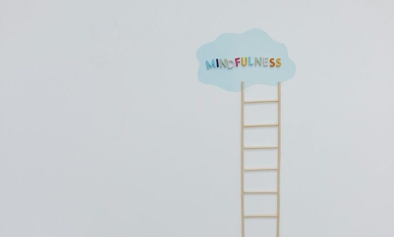 nova path growth ladder