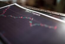 toll free feedback on reports