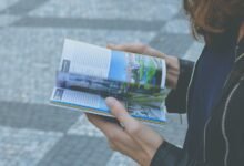 a comprehensive beginner s identifier guide