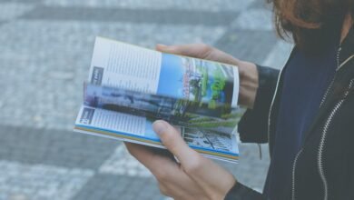 a comprehensive beginner s identifier guide