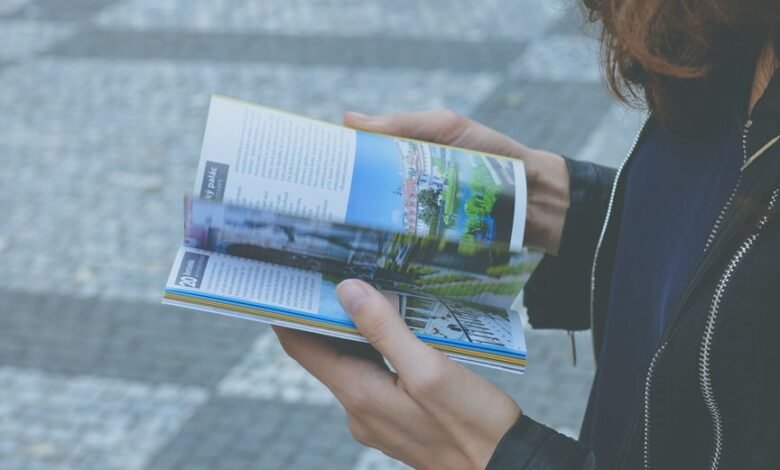 a comprehensive beginner s identifier guide