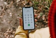 phone number detail about 8773210030 today